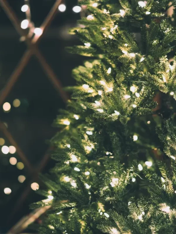 slow aging rituals christmas 2025